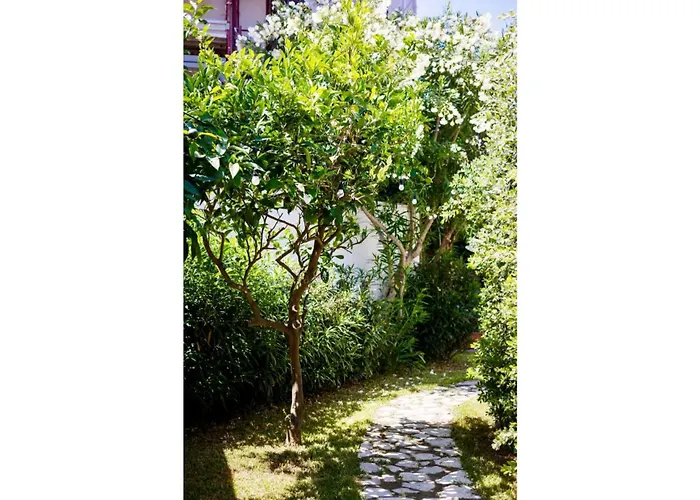 Il Sogno Aparthotel 3*