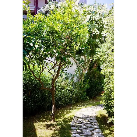 Il Sogno Ξενοδοχείο με διαμερίσματα 3*